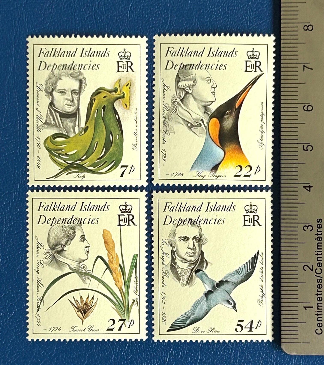 Falkland Islands Dependencies - Original Vintage Postage Stamps - 1985 - Naturalists - for the collector, crafter or artist