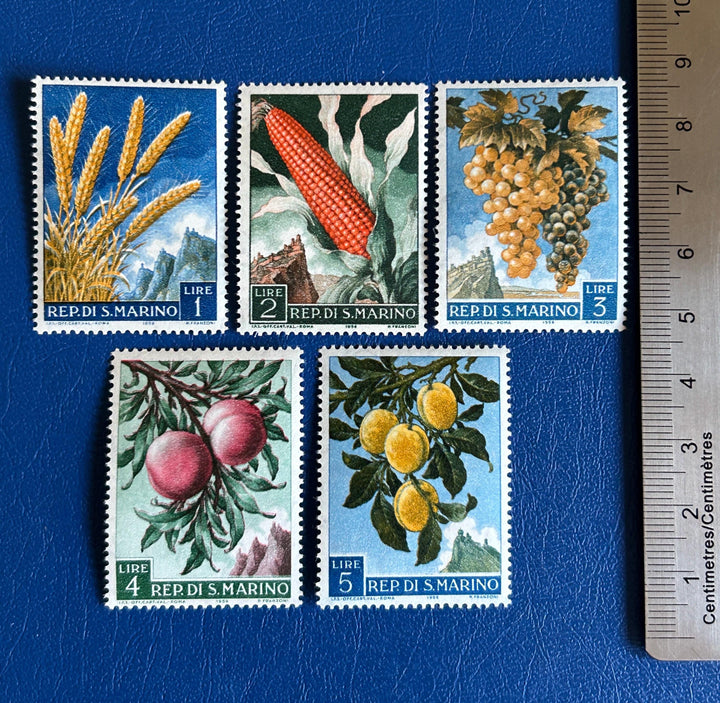 San Marino - Original Vintage Postage Stamps- 1958 - Agricultural Produce - for the collector, artist or crafter - scrapbooks, collage