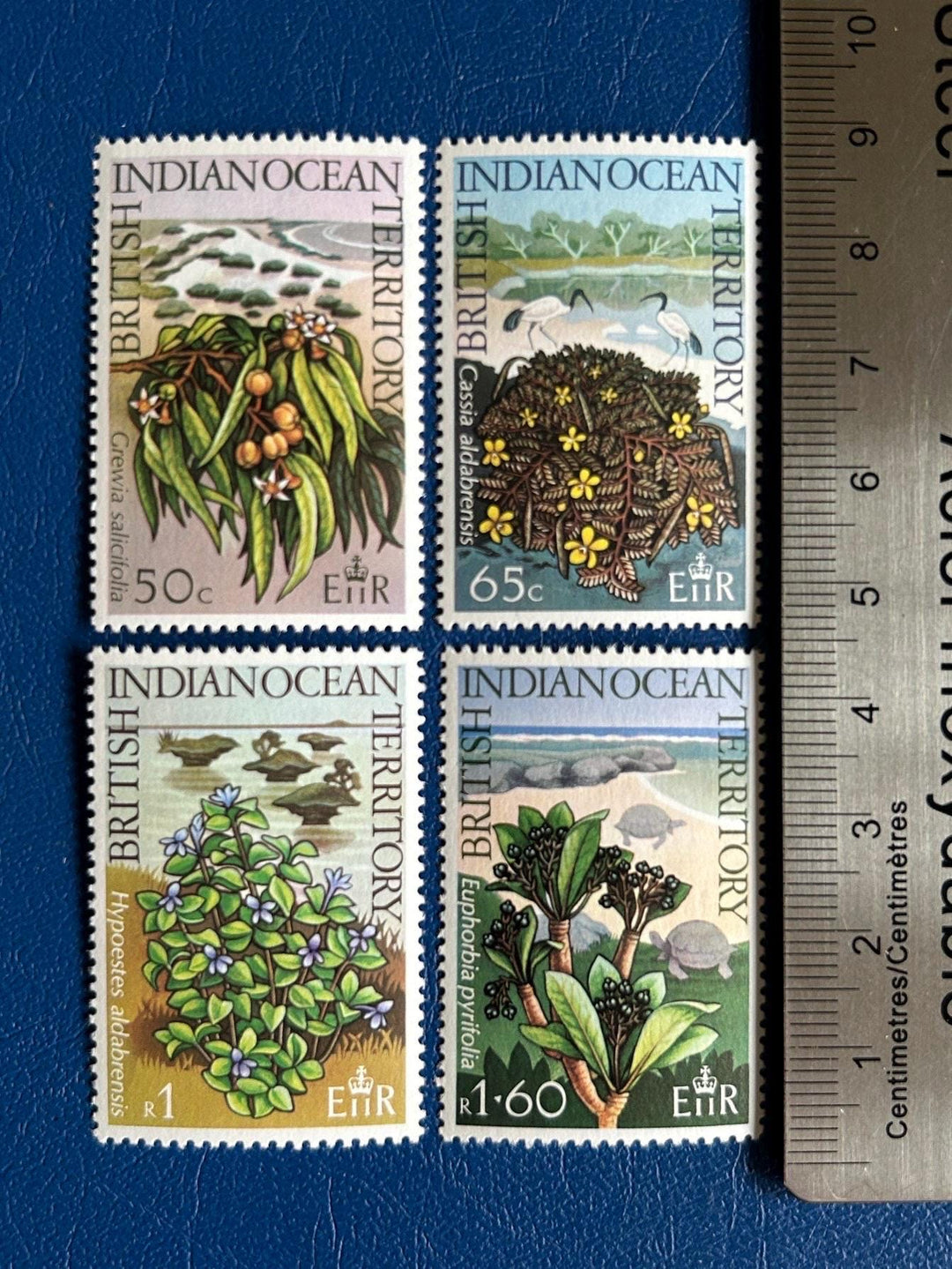 British Indian Ocean Territory - Original Vintage Postage Stamps - 1975 - Native Plants - for the collector, artist or crafter