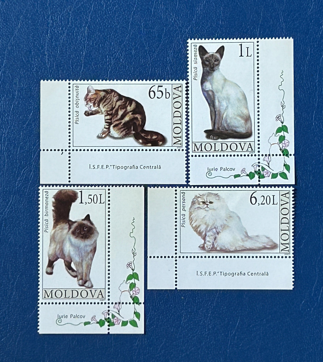 Moldova - 2007 - Cats (fauna) - MNH**