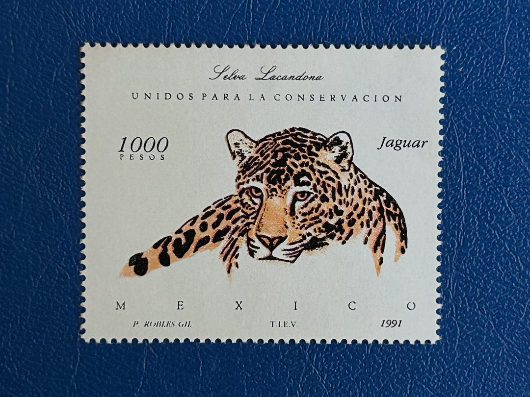 Mexico - 1996 -  Wild Cats (fauna) - MNH**