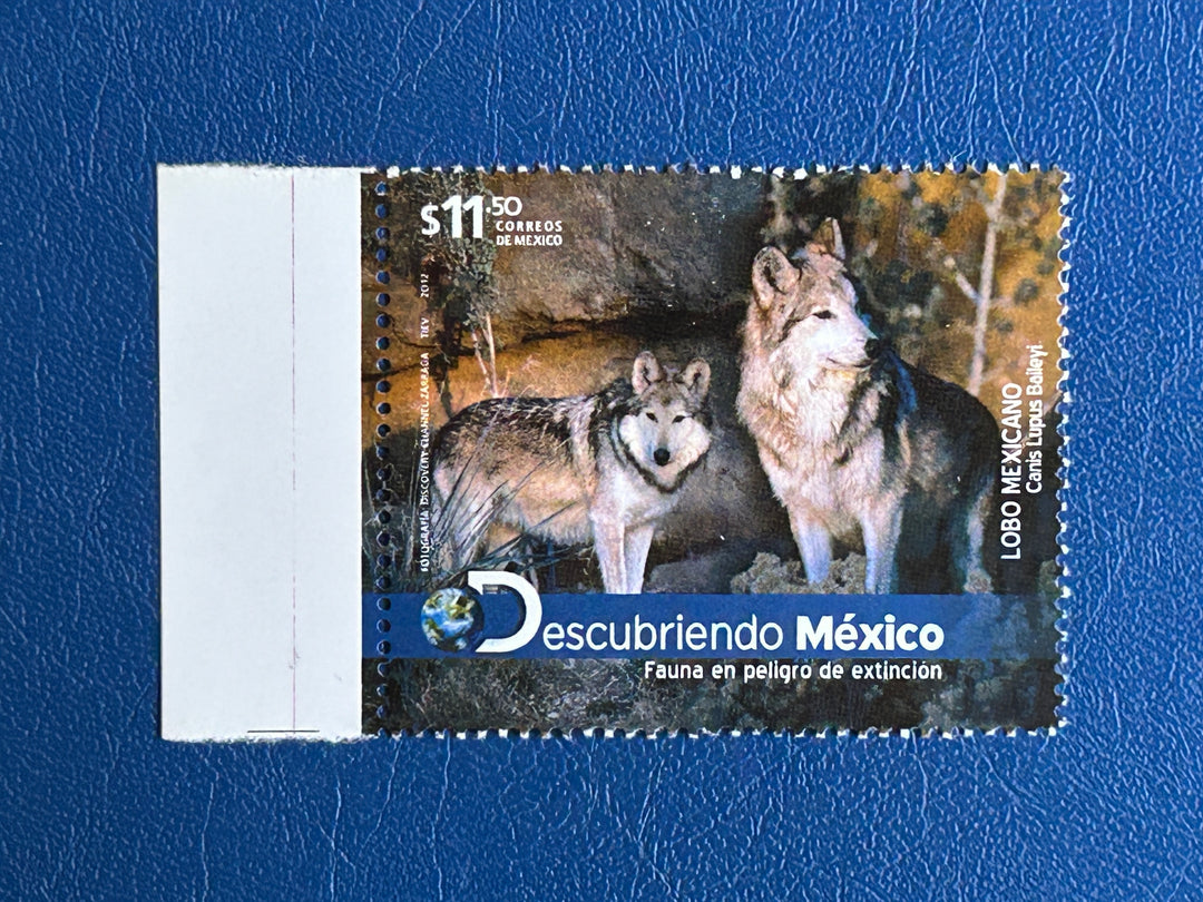 Mexico - 2012 -  Wolves (fauna) - MNH**