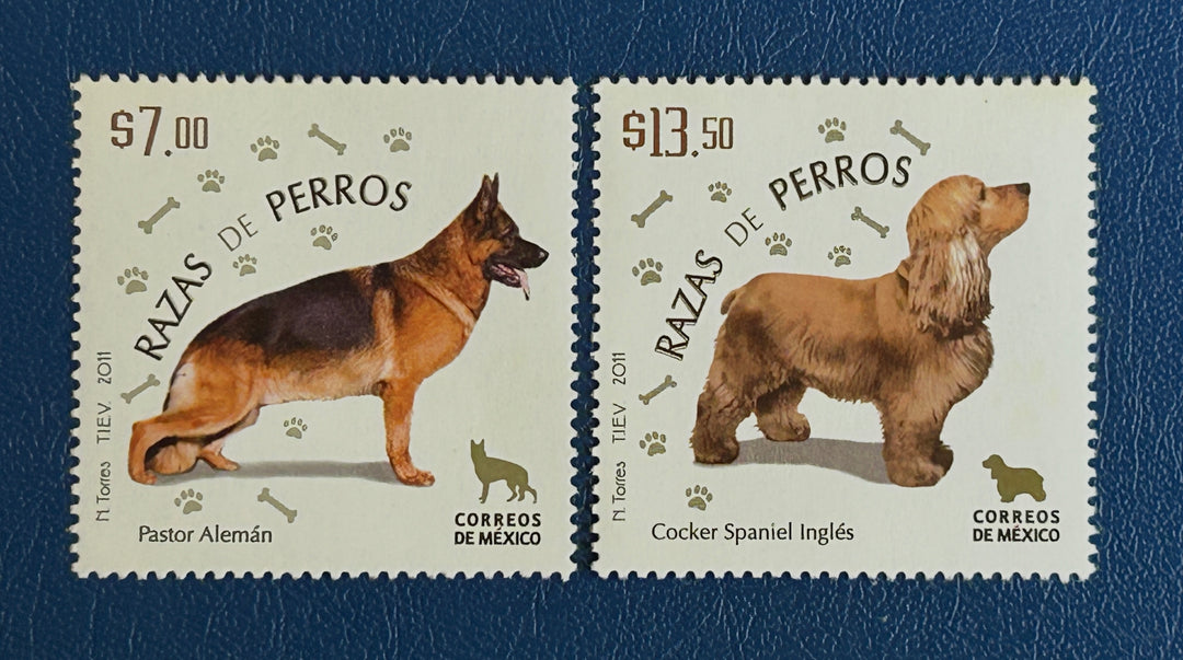 Mexico - 2011 -  Dog Breeds (fauna) - MNH**