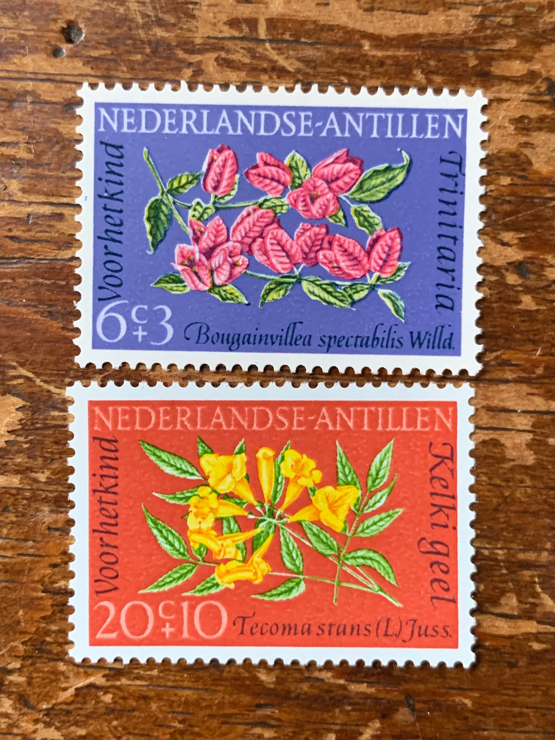 Netherlands Antilles- Original Vintage Postage Stamps-1964 Florals