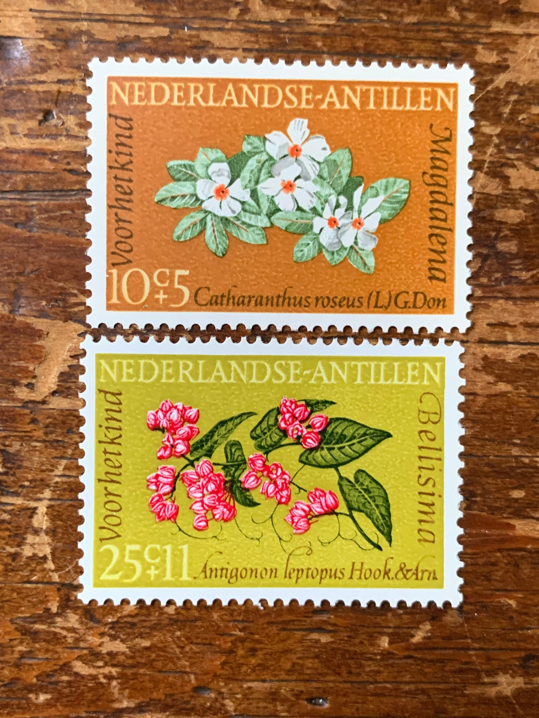 Netherlands Antilles- Original Vintage Postage Stamps-1964 Florals