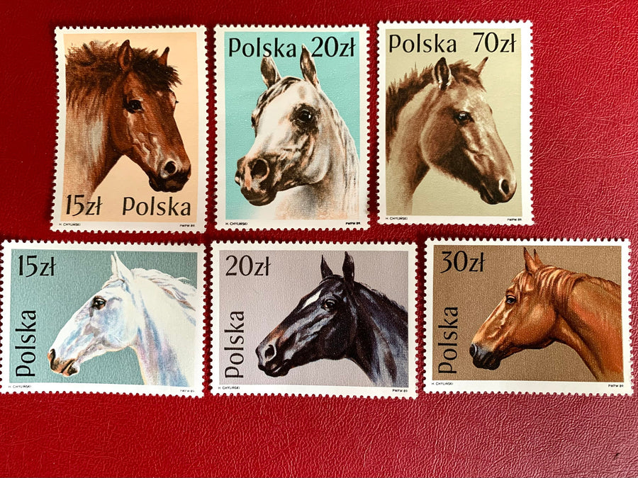 Poland - Original Vintage Postage Stamps - 1989 Horses