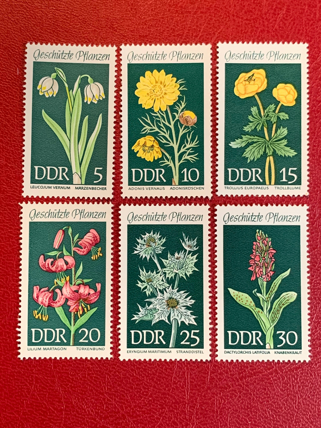 Germany (DDR) - Original Vintage Postage Stamps- 1969 Flowers