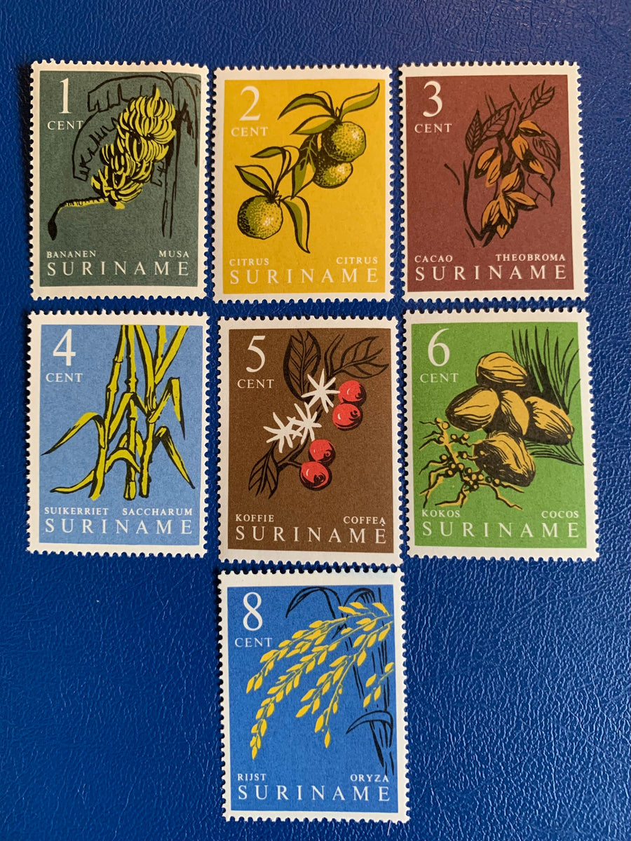 Suriname- Original Vintage Postage Stamps - 1961 Fruit