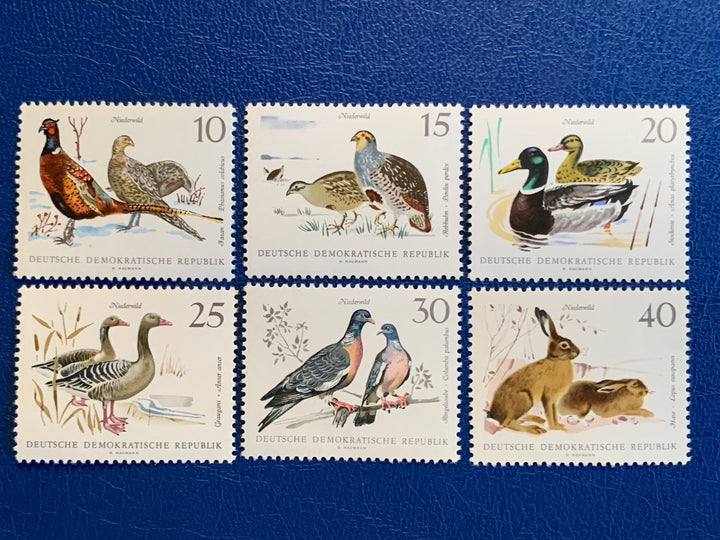 Germany (DDR) - Original Vintage Postage Stamps- 1968 Fauna