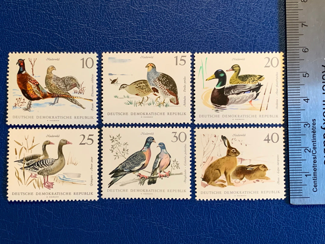 Germany (DDR) - Original Vintage Postage Stamps- 1968 Fauna