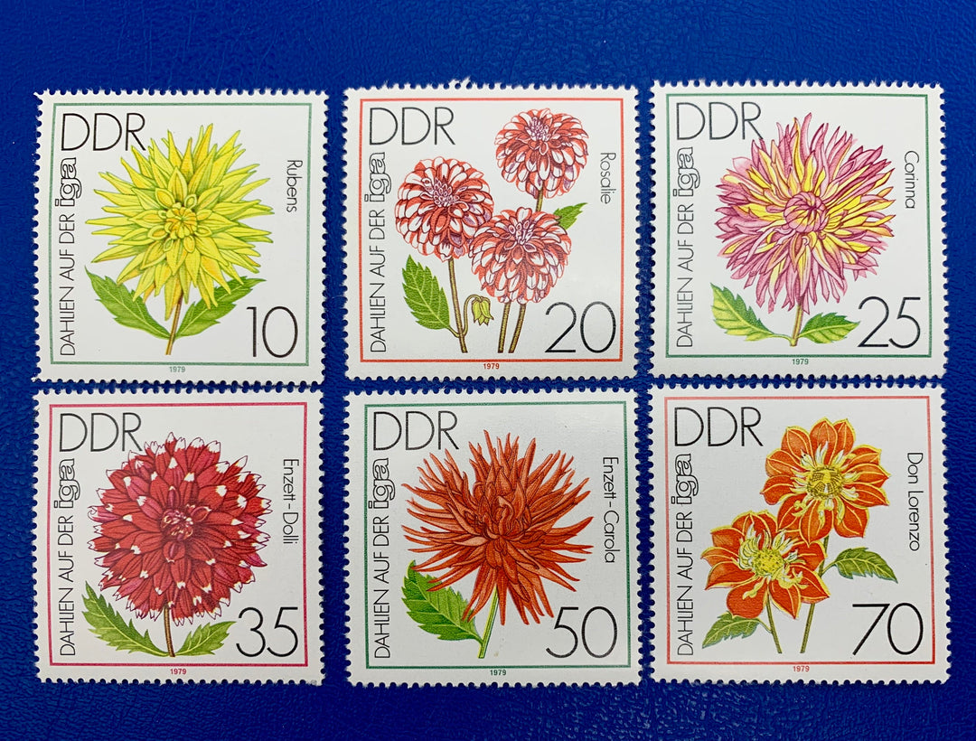 Germany (DDR) Original Vintage Postage Stamps- 1979- Dahlias (Flowers)