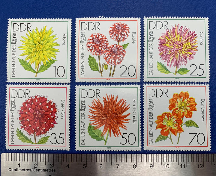 Germany (DDR) Original Vintage Postage Stamps- 1979- Dahlias (Flowers)