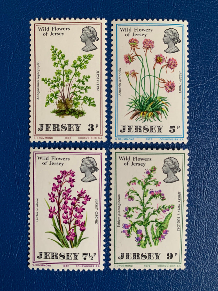 Jersey - Original Vintage Postage Stamps - 1972 Wildflowers of Jersey - for the collector, artist or crafter