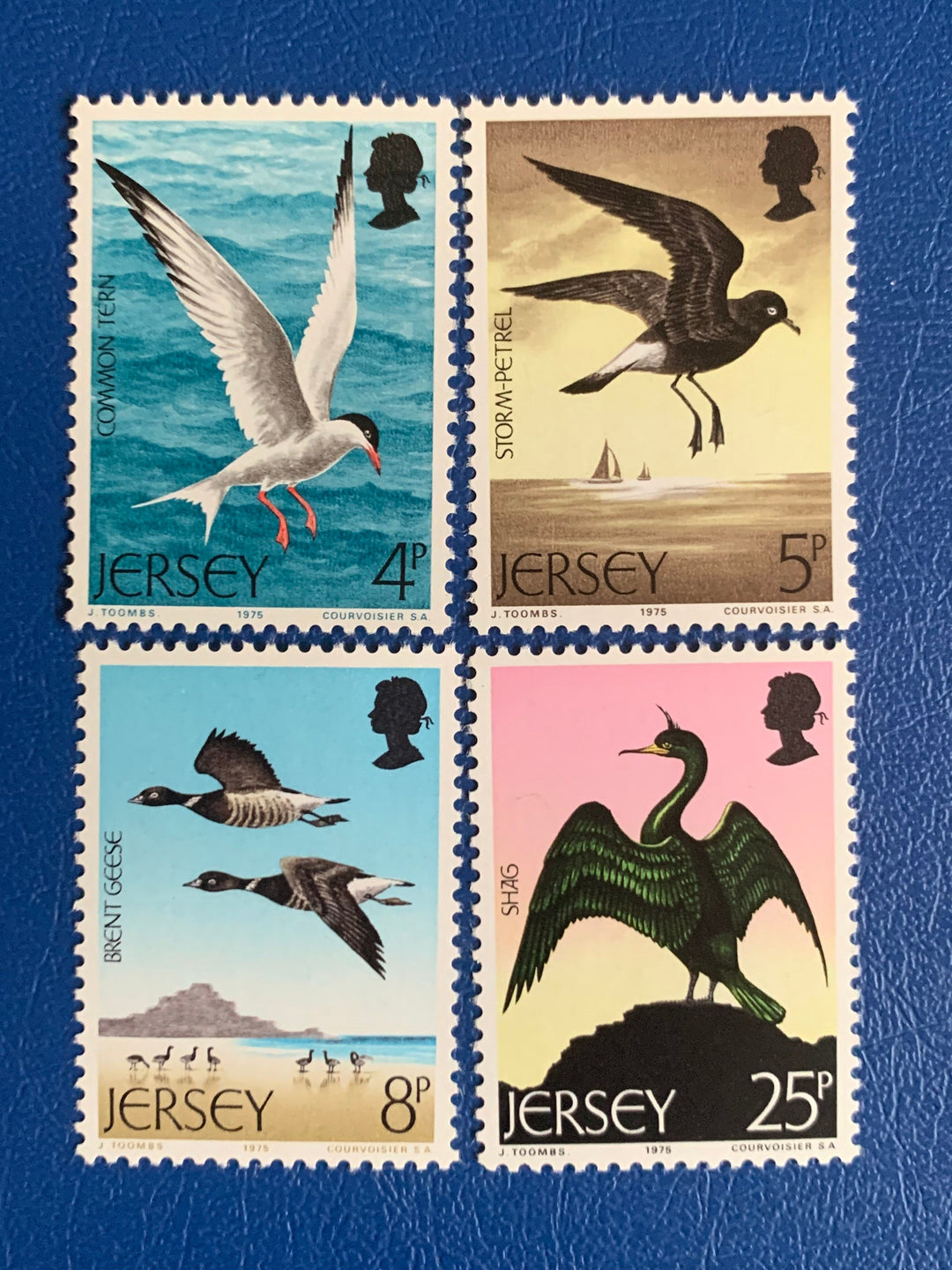 Jersey - Original Vintage Postage Stamps - 1975 Seabirds - On the Ridge ...