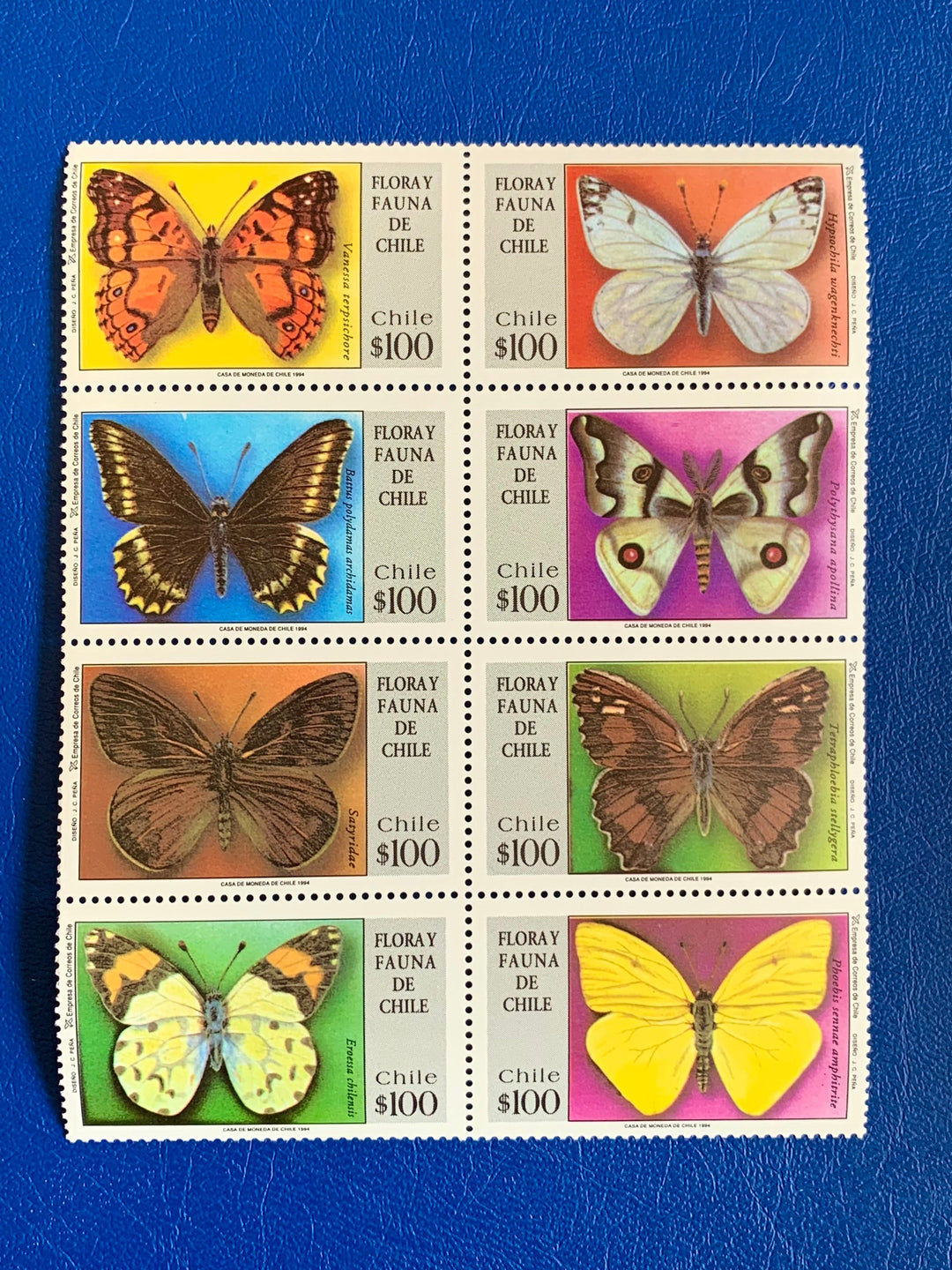 Chile - Original Vintage Postage Stamps- 1994 Butterflies of Chile Stamp Sheet- for the collector, artist or crafter