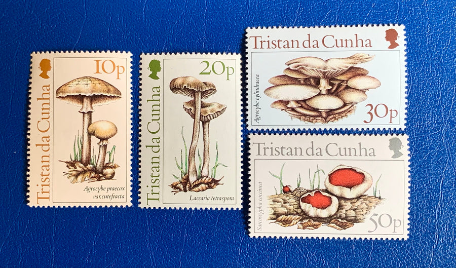 Tristan de Cunha - Original Vintage Postage Stamps - 1984 - Mushrooms - for the collector, artist or crafter - scrapbooks, journals