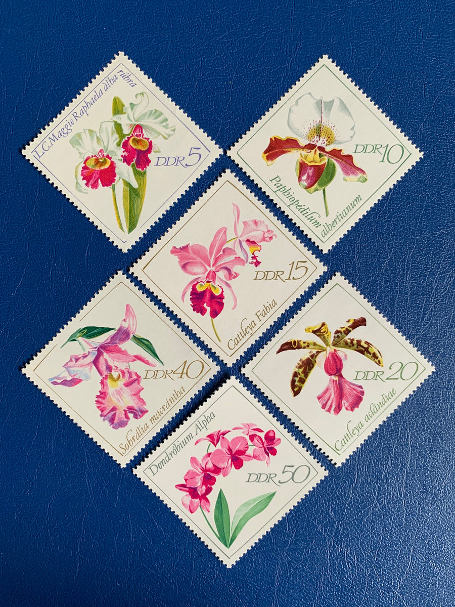 Germany (DDR) - Original Vintage Postage Stamps- 1968 Orchids  - for the collector, artist or crafter