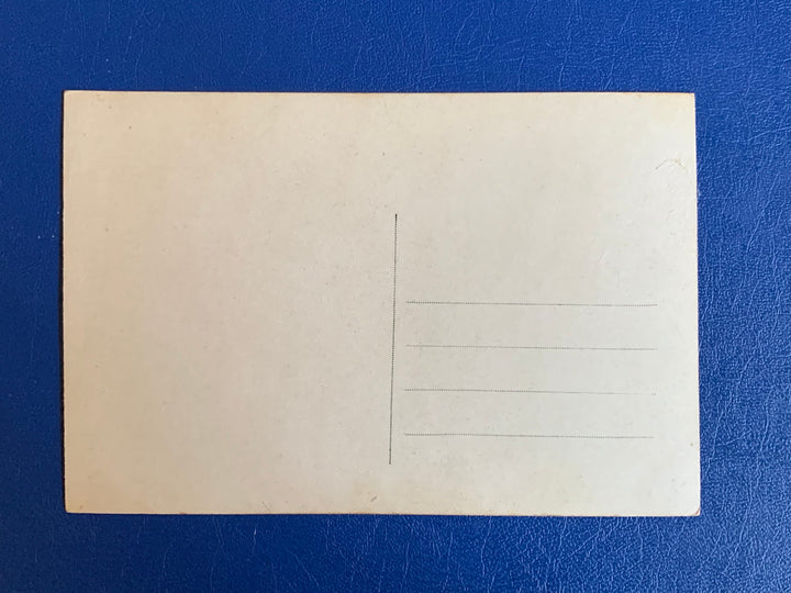 Vintage/Antique French Birthday Postcard - Unused - Colourized Black & White Photo Couple and flowers