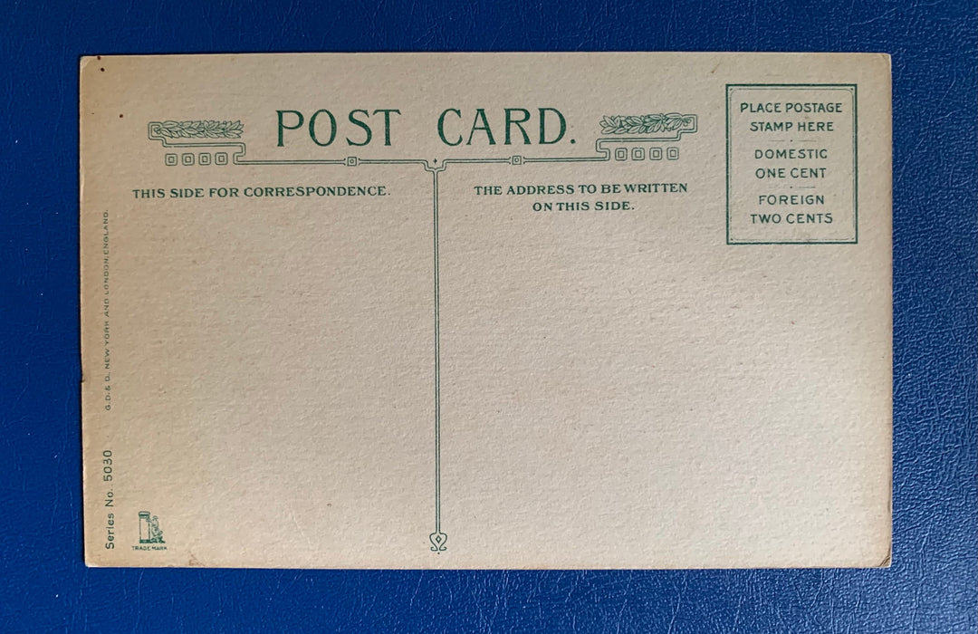 Vintage/Antique Birthday Greeting Postcard - Unused - 1920s Flower & Verse