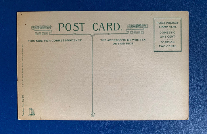 Vintage/Antique Birthday Greeting Postcard - Unused - 1920s Flower & Verse