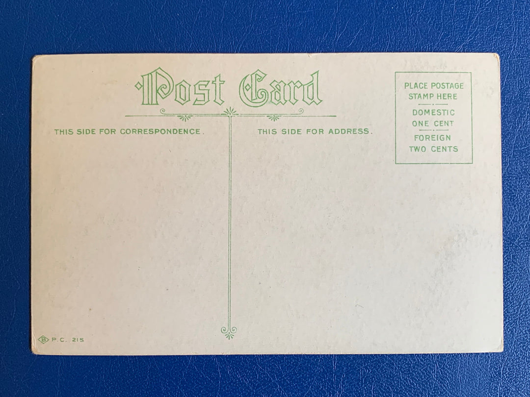 Vintage/Antique Greeting Postcard - Unused - Friendship/ Book Lover Card