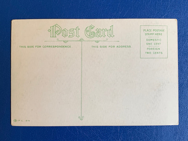 Vintage/Antique Greeting Postcard - Unused - Friendship/ Book Lover Card