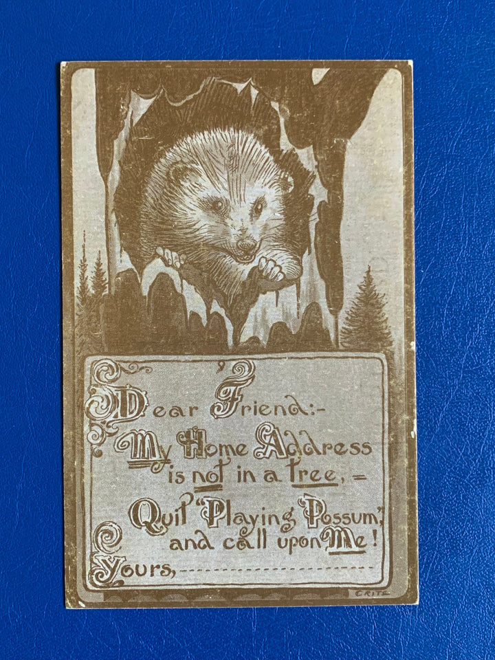 Vintage/Antique Greeting Postcard - Unused - Possum Friendship Card