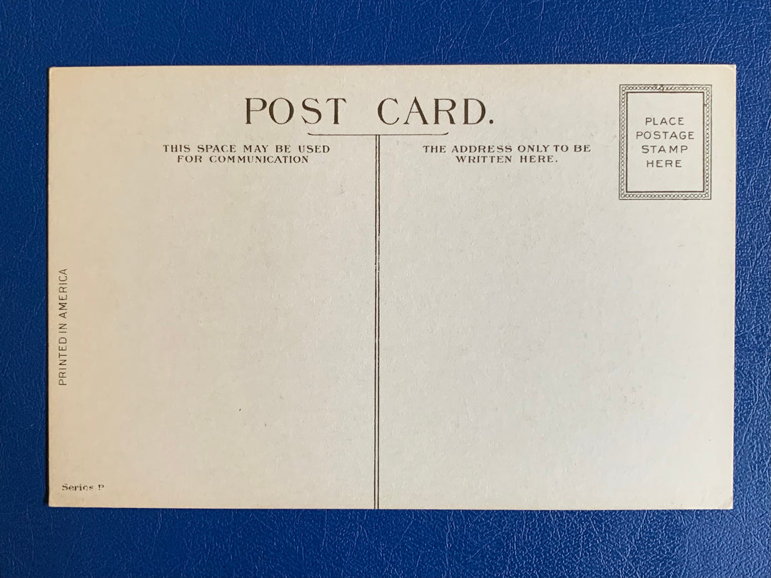 Vintage/Antique Greeting Postcard - Unused - Possum Friendship Card