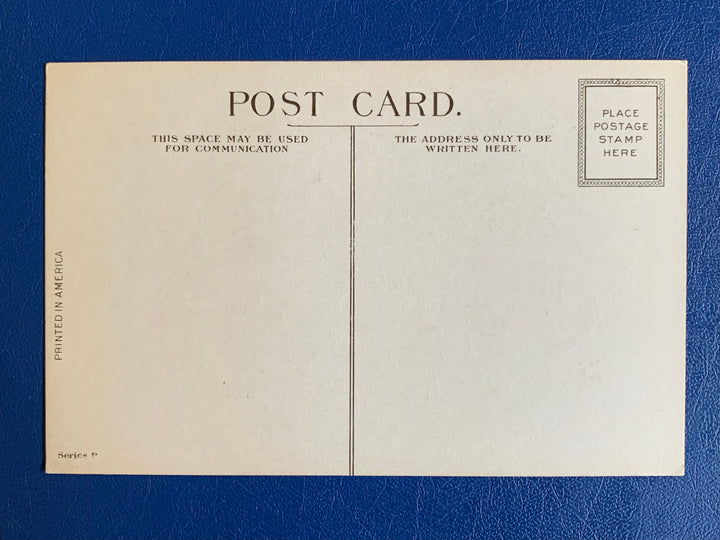 Vintage/Antique Greeting Postcard - Unused - Possum Friendship Card