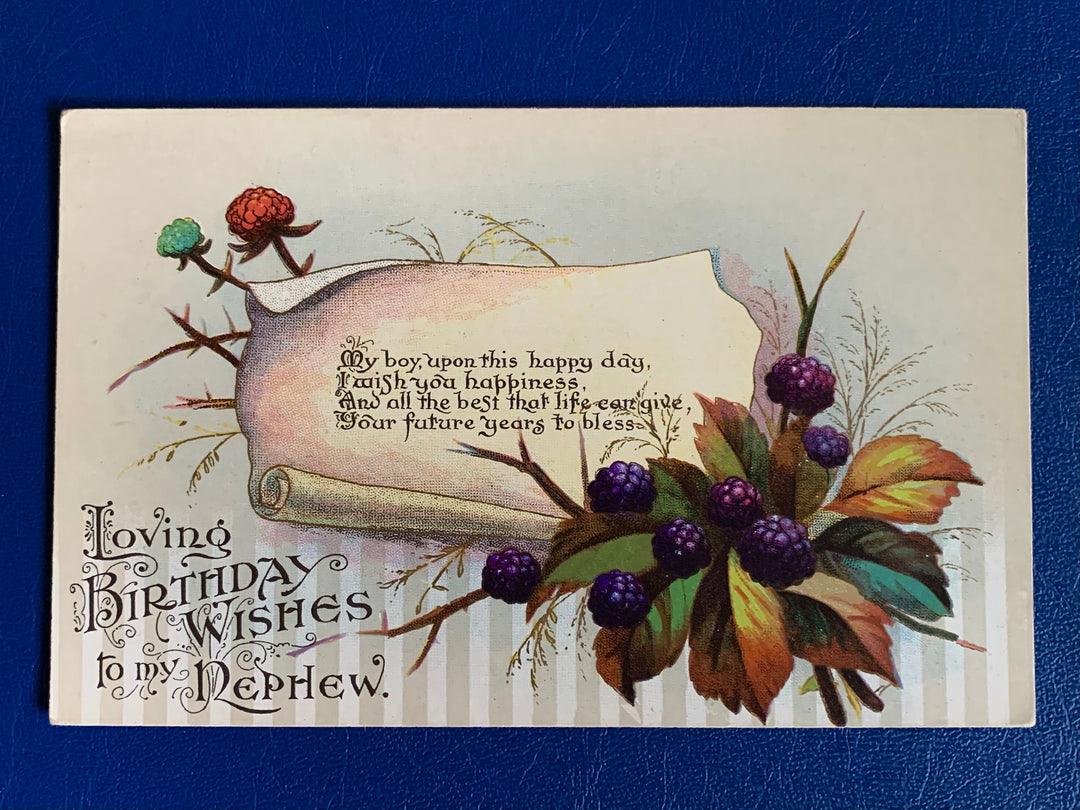 Vintage/Antique Birthday Greeting Male Postcard - Unused - 1920s Berries