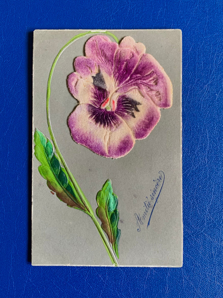 Vintage/Antique Greeting Postcard - Unused - Velvet Pansy - ‘Sincere Friendship’ - Friendship, Romance, Love, Valentine