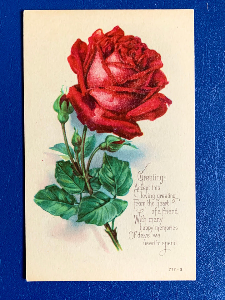 Vintage/Antique Greeting Postcard - Unused - Rose Friendship Card