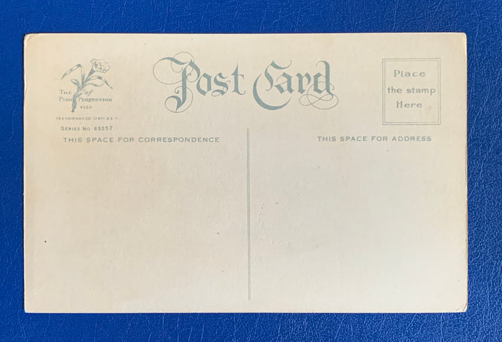 Vintage/Antique Thanksgiving Unused Postcard - Fall, Thanksgiving - for decor, crafting, collecting