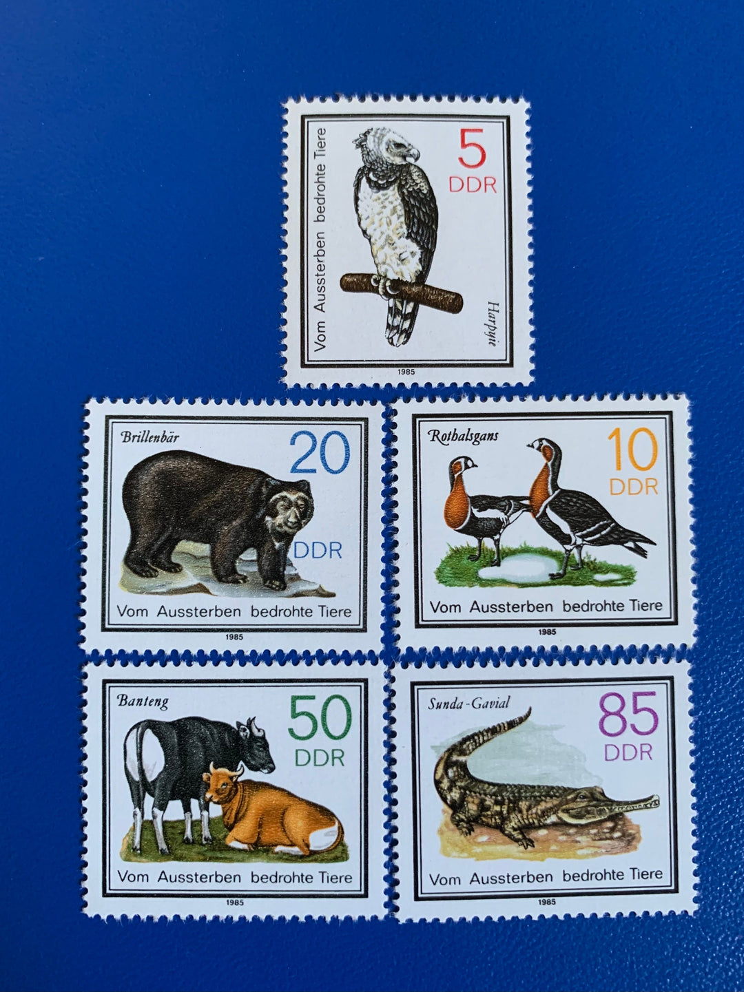 East Germany (DDR) -Original Vintage Postage Stamps - 1985 - Endangered Animals - for the collector, artist or crafter