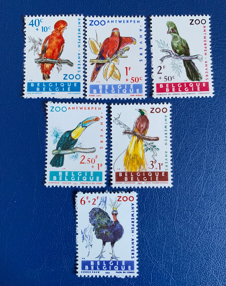 Belgium - Original Vintage Postage Stamps - 1962 - Antwerp Zoo Birds - for the collector, artist or crafter