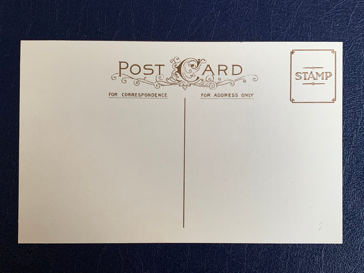 Vintage/Antique Christmas Postcard - Christmas Nostalgia Humour Unused Greeting Card - for the collector, crafter, scrapbooker, or gift