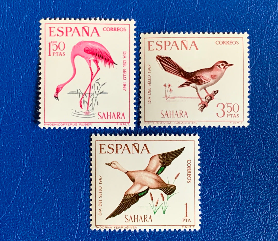 Sp. Sahara - Original Vintage Postage Stamps - 1964 - Shelduck, Flamingo, Scrub Robin (Stamp Day) - for the collector or crafter