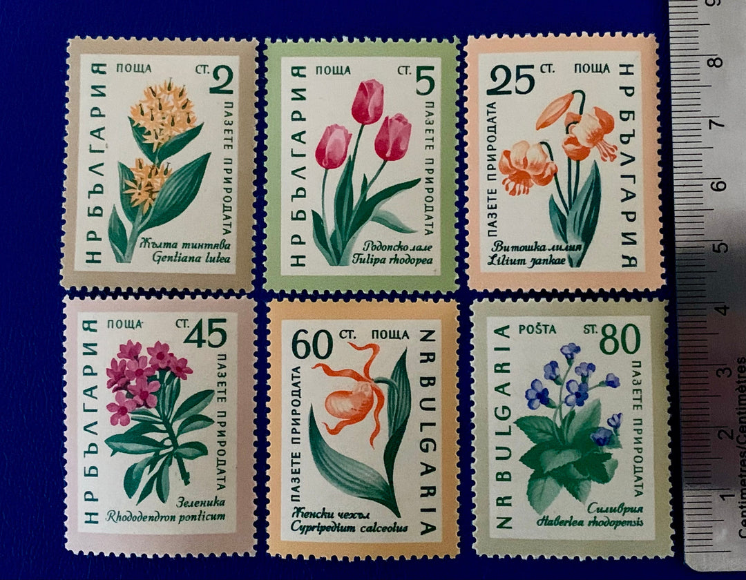 Bulgaria - Original Vintage Postage Stamps - 1960 - Nature Conservation: Flowers - for the collector, artist or crafter