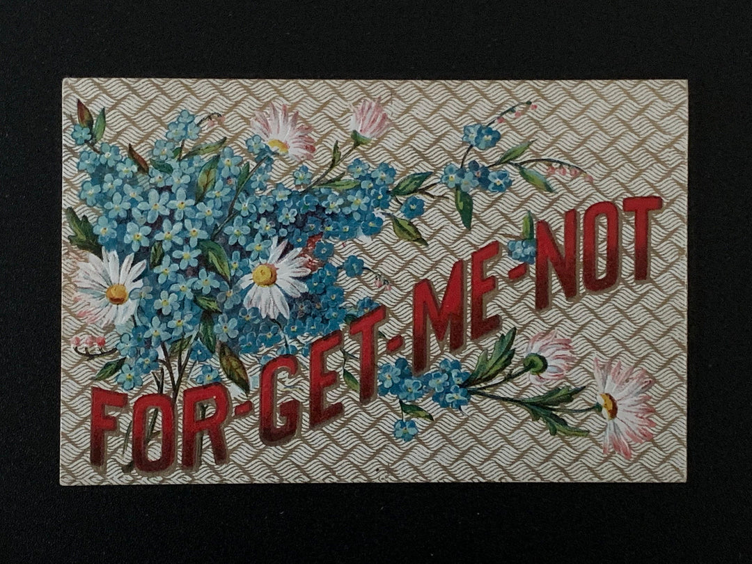 Vintage/Antique Greeting Embossed Postcard - Love/Friendship - Forget Me Not