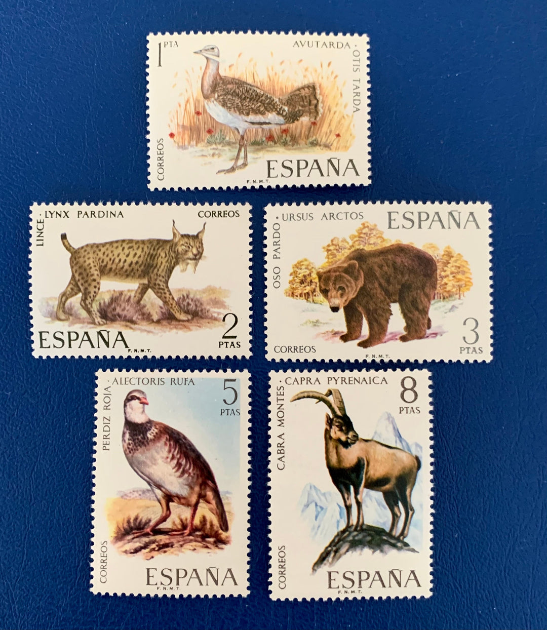 Spain - Original Vintage Postage Stamps- 1971 Hispanic Fauna - for the collector, artist or crafter - Scrapbooking, decoupage, collage