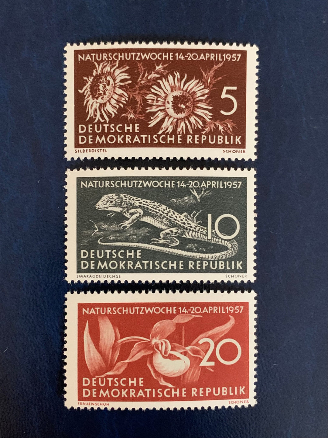 East Germany (DDR) - Original Vintage Postage Stamps - 1957 - Nature Conservation - for the collector, artist or crafter