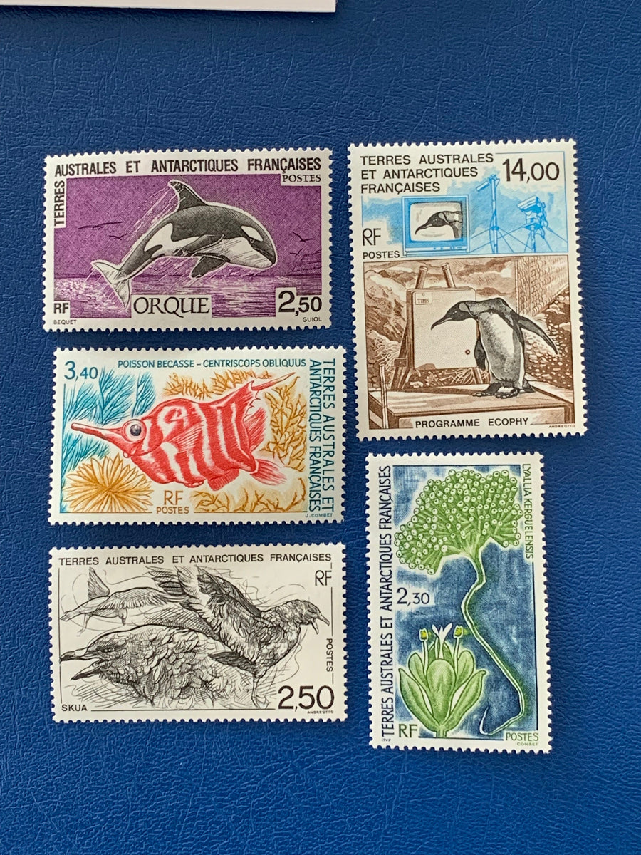 French Southern & Antarctic Territories - Original Vintage Postage Stamps- 1993 - Fauna and Flora