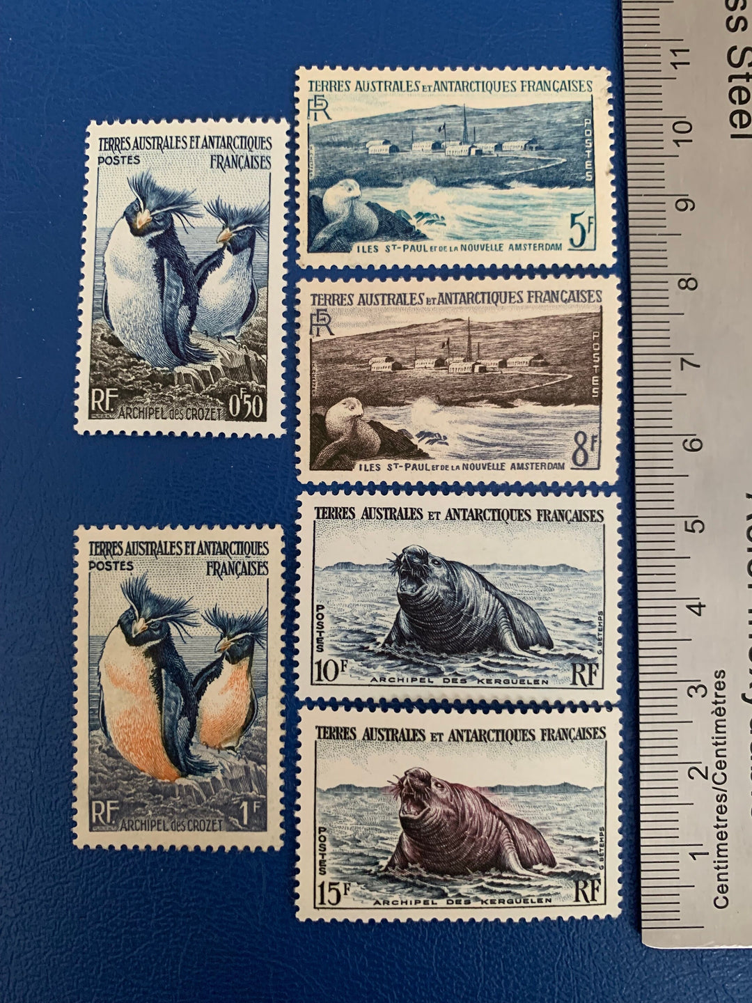 French Southern & Antarctic Territories - Original Vintage Postage Stamps- 1956 - Fauna