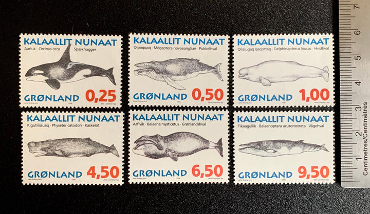 Greenland - Original Vintage Postage Stamps- 1996 - Greenland Whales - for the collector, artist or crafter