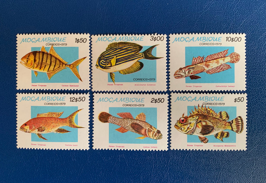 Mozambique - Original Vintage Postage Stamps- 1979 - Tropical Fish - for the collector, artist or crafter