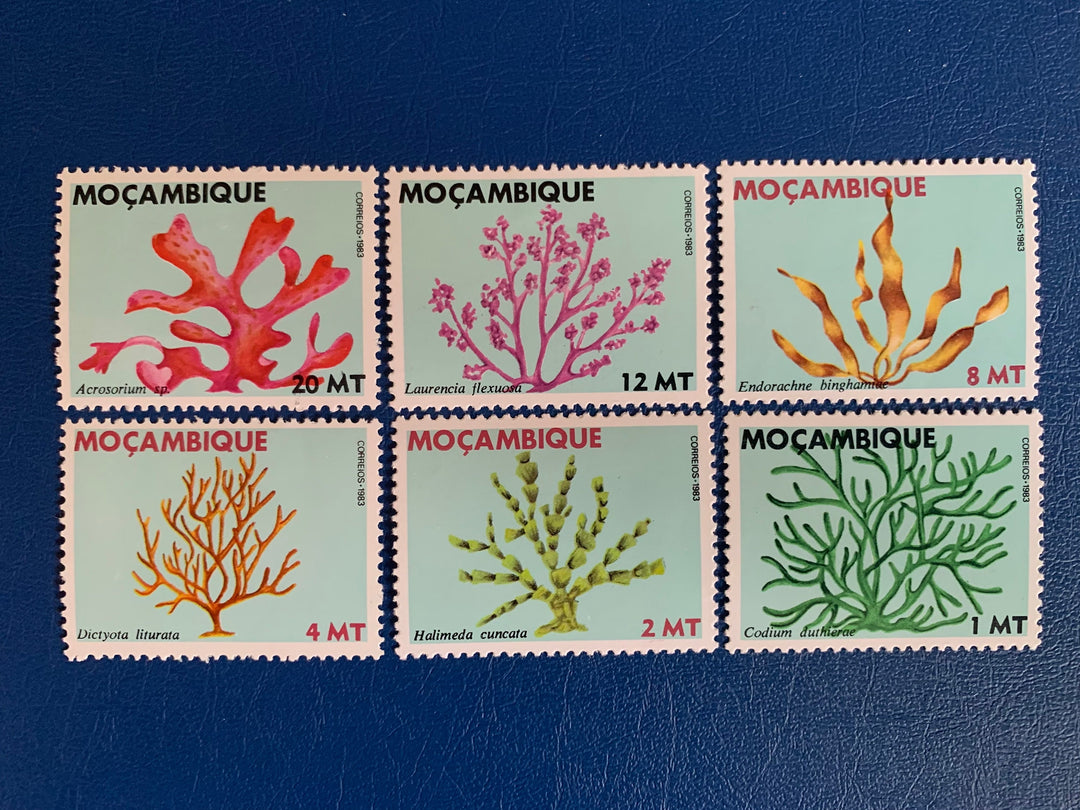 Mozambique - Original Vintage Postage Stamps- 1983 - Seaweed - for the collector, artist or crafter