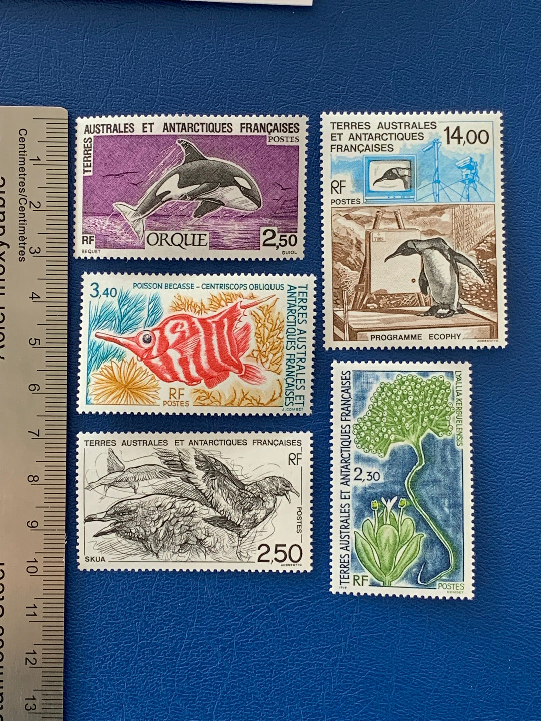 French Southern & Antarctic Territories - Original Vintage Postage Stamps- 1993 - Fauna and Flora