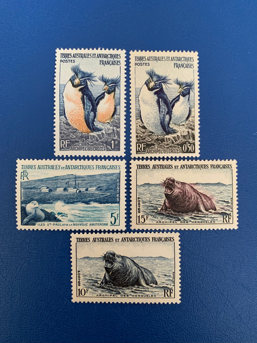 French Southern & Antarctic Territories - Original Vintage Postage Stamps- 1956 - Fauna