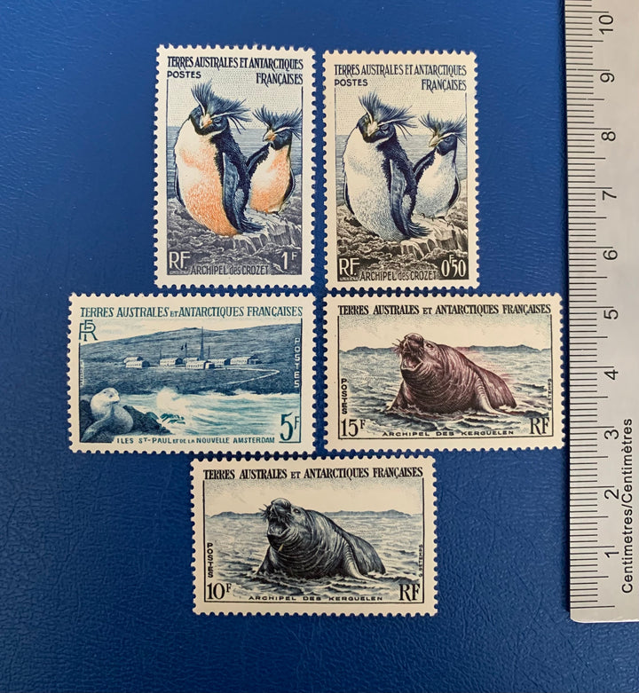 French Southern & Antarctic Territories - Original Vintage Postage Stamps- 1956 - Fauna