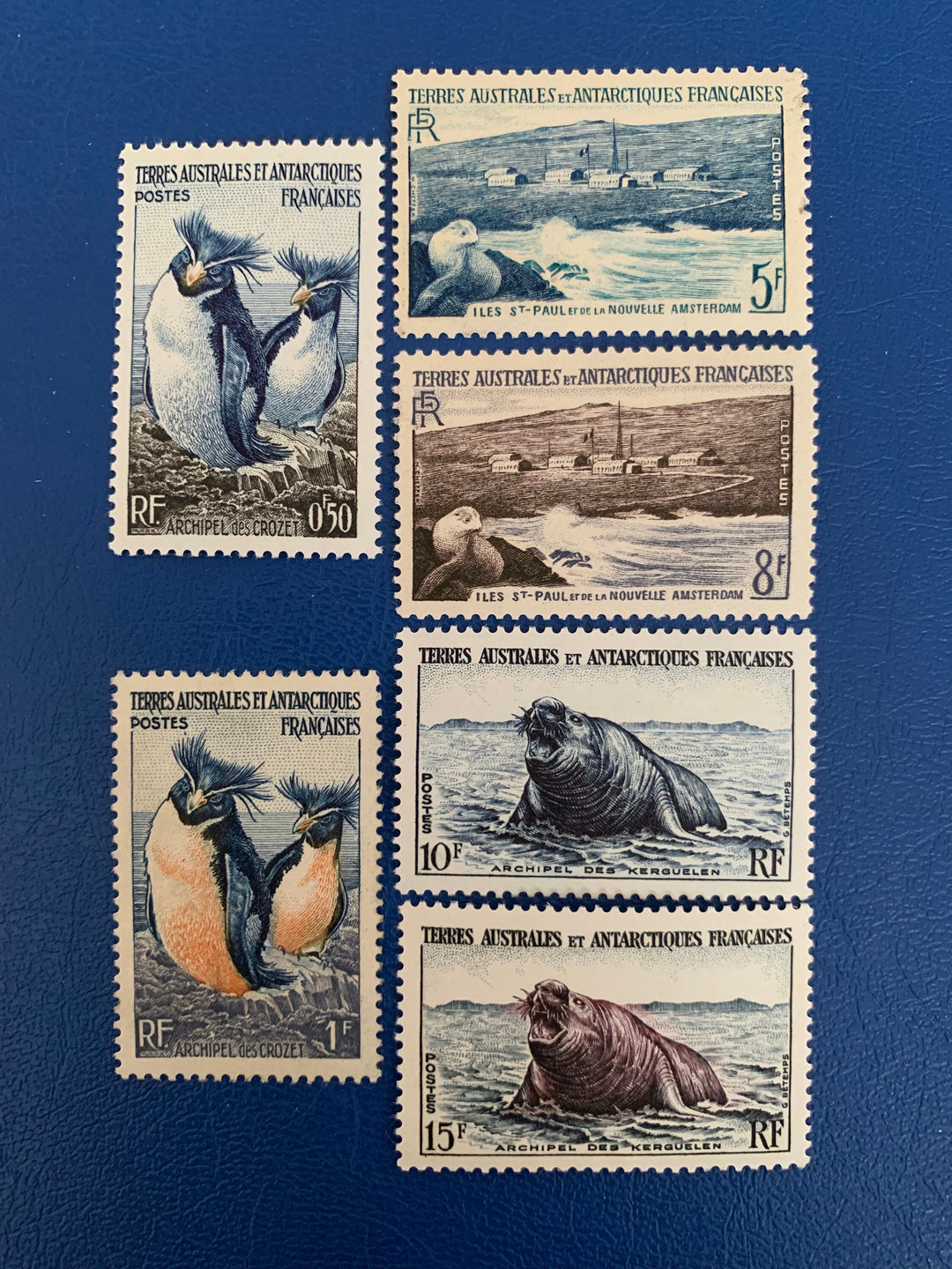 French Southern & Antarctic Territories - Original Vintage Postage Stamps- 1956 - Fauna